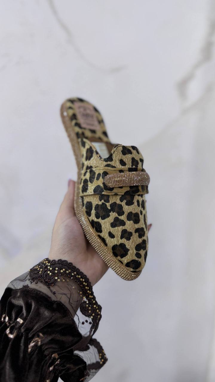 Belgha léopard image