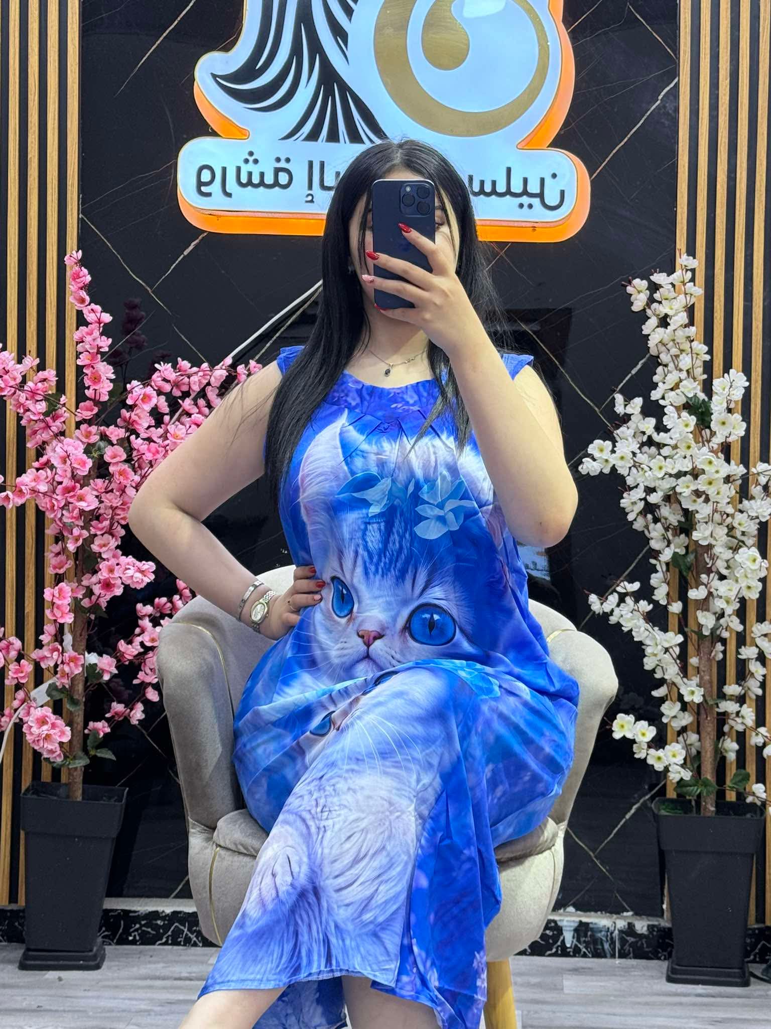 مودال القطة image