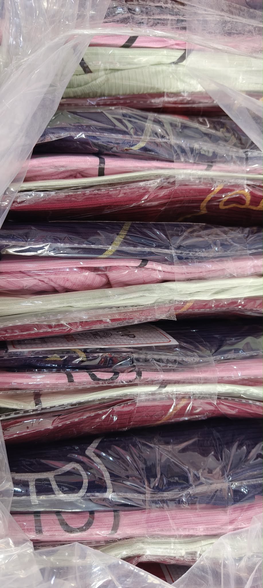 بيستي بونتاكور image